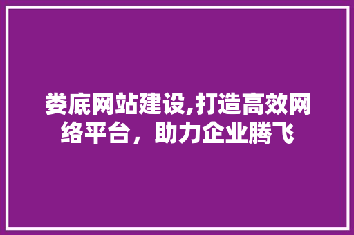 娄底网站建设,打造高效网络平台，助力企业腾飞