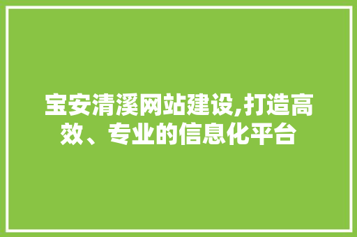 宝安清溪网站建设,打造高效、专业的信息化平台