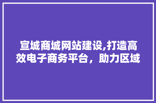 宣城商城网站建设,打造高效电子商务平台，助力区域经济发展