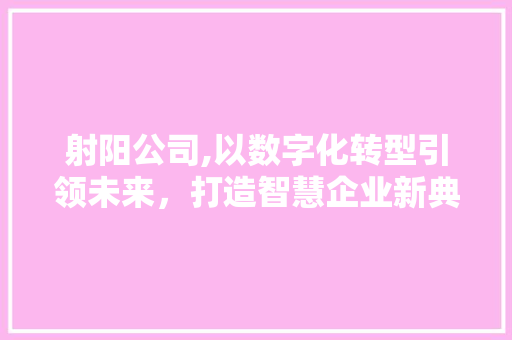 射阳公司,以数字化转型引领未来，打造智慧企业新典范