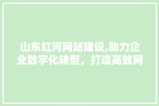 山东红河网站建设,助力企业数字化转型，打造高效网络平台