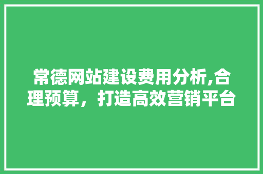 常德网站建设费用分析,合理预算，打造高效营销平台