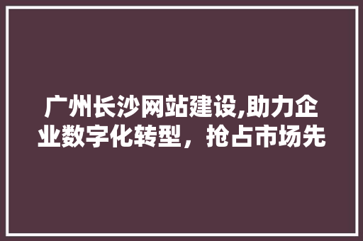 广州长沙网站建设,助力企业数字化转型，抢占市场先机