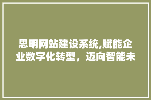 思明网站建设系统,赋能企业数字化转型，迈向智能未来 项目报告