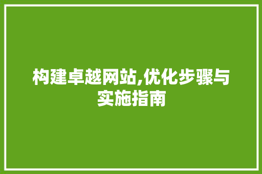 构建卓越网站,优化步骤与实施指南