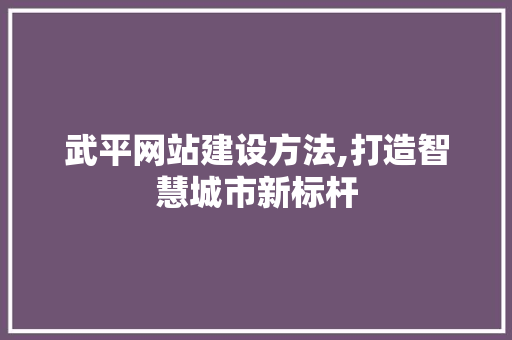武平网站建设方法,打造智慧城市新标杆