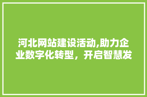 河北网站建设活动,助力企业数字化转型，开启智慧发展新篇章