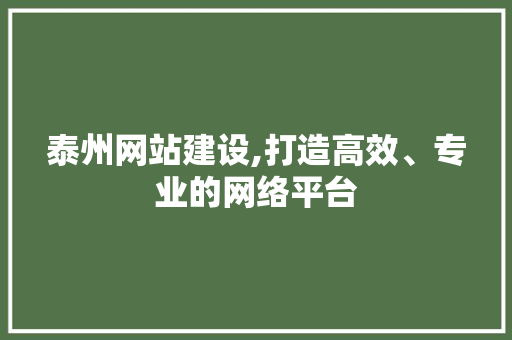 泰州网站建设,打造高效、专业的网络平台