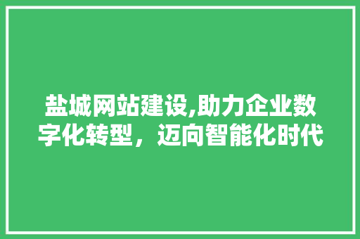 盐城网站建设,助力企业数字化转型，迈向智能化时代