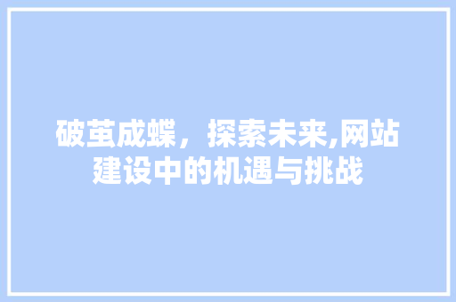 破茧成蝶，探索未来,网站建设中的机遇与挑战