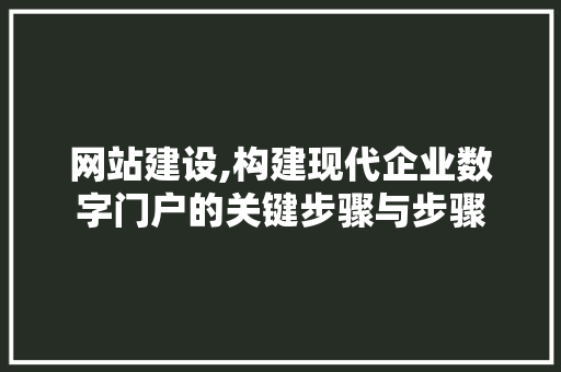 网站建设,构建现代企业数字门户的关键步骤与步骤