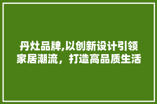 丹灶品牌,以创新设计引领家居潮流，打造高品质生活方式 市场营销范文