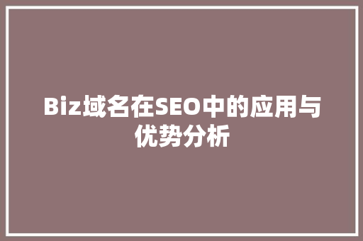 Biz域名在SEO中的应用与优势分析