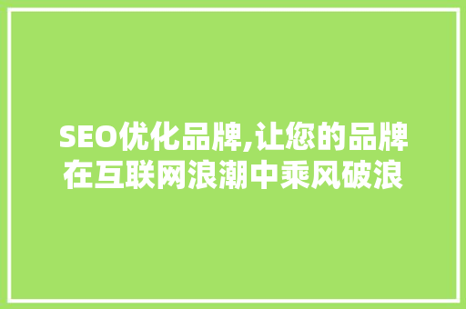 SEO优化品牌,让您的品牌在互联网浪潮中乘风破浪