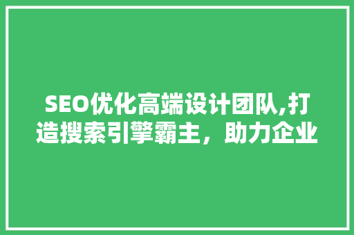 SEO优化高端设计团队,打造搜索引擎霸主，助力企业腾飞