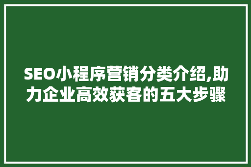 SEO小程序营销分类介绍,助力企业高效获客的五大步骤