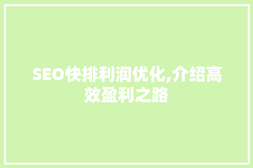 SEO快排利润优化,介绍高效盈利之路