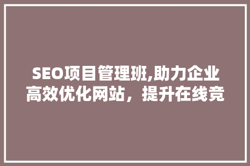 SEO项目管理班,助力企业高效优化网站，提升在线竞争力