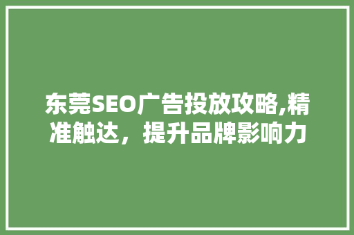 东莞SEO广告投放攻略,精准触达，提升品牌影响力