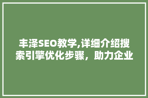 丰泽SEO教学,详细介绍搜索引擎优化步骤，助力企业提升网络影响力