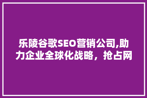 乐陵谷歌SEO营销公司,助力企业全球化战略，抢占网络市场制高点