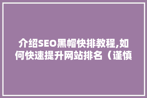 介绍SEO黑帽快排教程,如何快速提升网站排名（谨慎阅读）