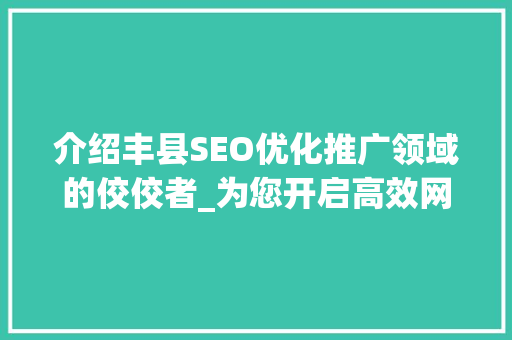 介绍丰县SEO优化推广领域的佼佼者_为您开启高效网络营销新篇章