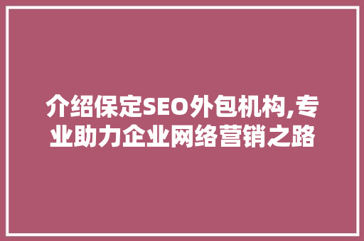 介绍保定SEO外包机构,专业助力企业网络营销之路