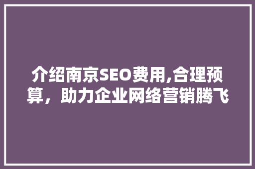介绍南京SEO费用,合理预算，助力企业网络营销腾飞