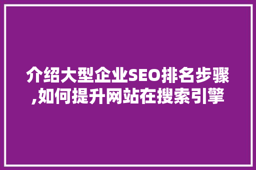 介绍大型企业SEO排名步骤,如何提升网站在搜索引擎中的竞争力