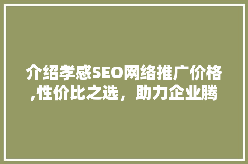 介绍孝感SEO网络推广价格,性价比之选，助力企业腾飞