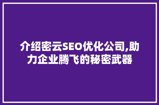 介绍密云SEO优化公司,助力企业腾飞的秘密武器