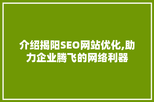 介绍揭阳SEO网站优化,助力企业腾飞的网络利器