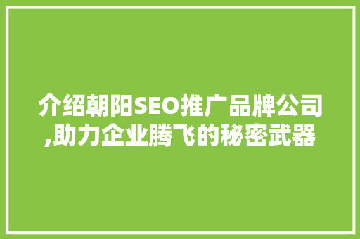 介绍朝阳SEO推广品牌公司,助力企业腾飞的秘密武器