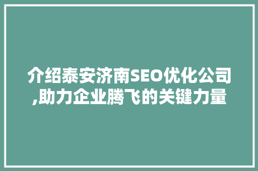 介绍泰安济南SEO优化公司,助力企业腾飞的关键力量