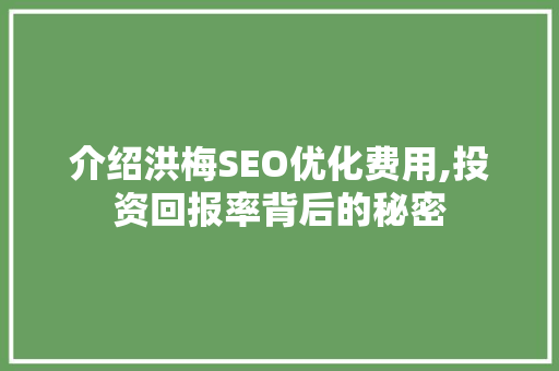 介绍洪梅SEO优化费用,投资回报率背后的秘密