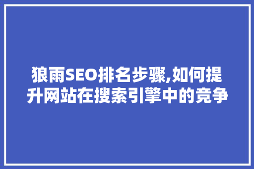 狼雨SEO排名步骤,如何提升网站在搜索引擎中的竞争力