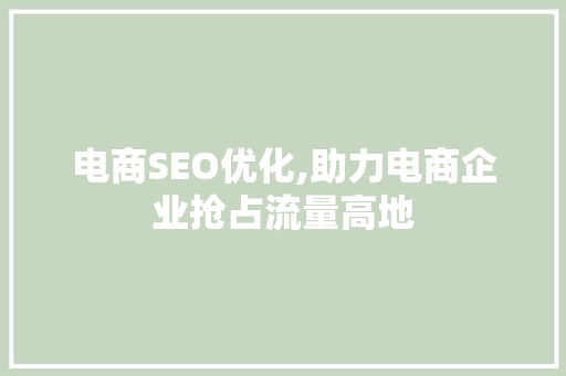 电商SEO优化,助力电商企业抢占流量高地