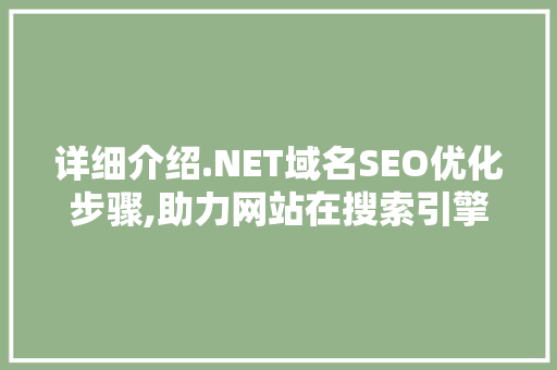详细介绍.NET域名SEO优化步骤,助力网站在搜索引擎中脱颖而出