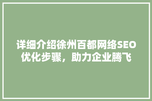 详细介绍徐州百都网络SEO优化步骤，助力企业腾飞