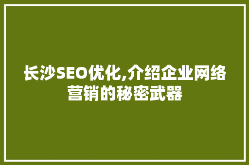 长沙SEO优化,介绍企业网络营销的秘密武器