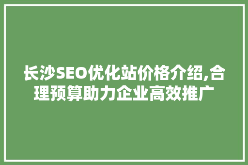 长沙SEO优化站价格介绍,合理预算助力企业高效推广