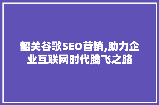 韶关谷歌SEO营销,助力企业互联网时代腾飞之路