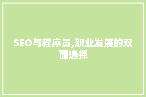 SEO与程序员,职业发展的双面选择