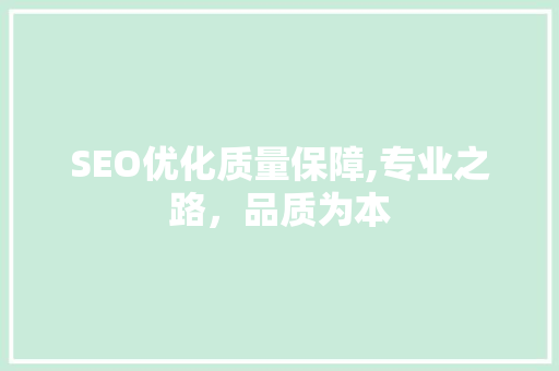 SEO优化质量保障,专业之路，品质为本