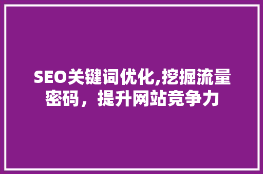 SEO关键词优化,挖掘流量密码，提升网站竞争力