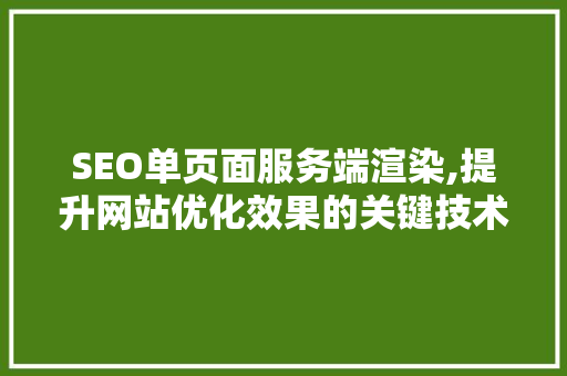 SEO单页面服务端渲染,提升网站优化效果的关键技术
