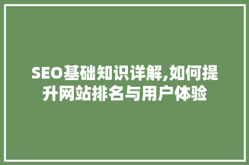 SEO基础知识详解,如何提升网站排名与用户体验