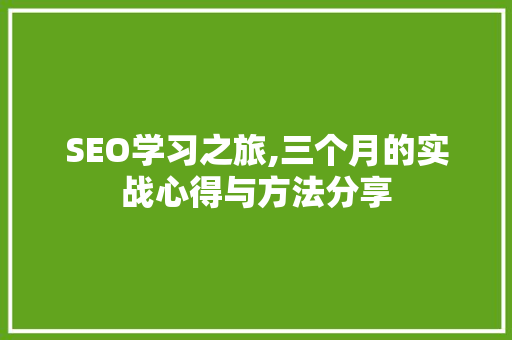 SEO学习之旅,三个月的实战心得与方法分享