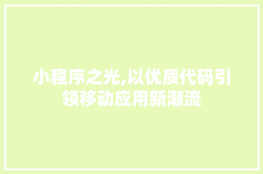 小程序之光,以优质代码引领移动应用新潮流 网站建设